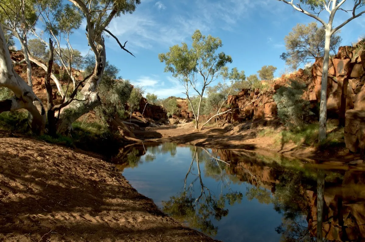 Gum trees and red rock around a still billabong